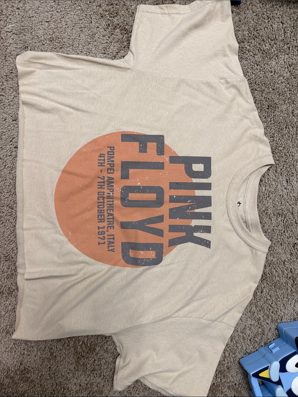 Pink Floyd Beige Tee with Rust Graphic